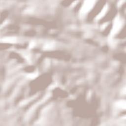 Simão Dias Terrain Map