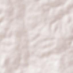 Campo do Brito Terrain Map