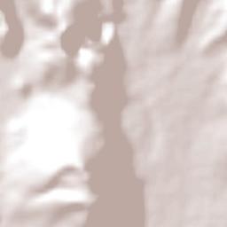 Tinyahuarco Terrain Map