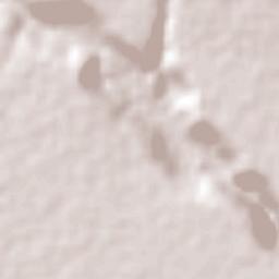 Namikupa Terrain Map