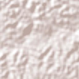 Assis Brasil Terrain Map