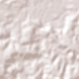 Brasiléia Terrain Map