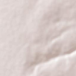 Várzea Nova Terrain Map