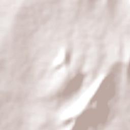 Tobias Barreto Terrain Map