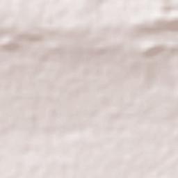 Presidente Dutra Terrain Map