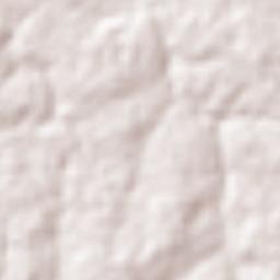 Provincia Nicolás Suárez Terrain Map