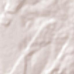 Castanheiras Terrain Map