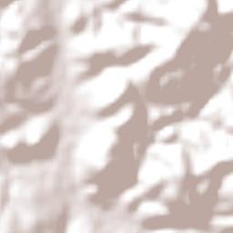 Miguel Calmon Terrain Map