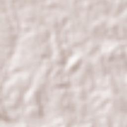 São José do Jacuípe Terrain Map