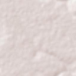 Rio Real Terrain Map