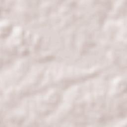 Nova Fátima Terrain Map