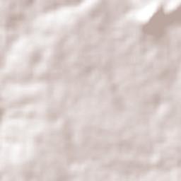 Serrinha Terrain Map