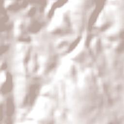 Dianópolis Terrain Map