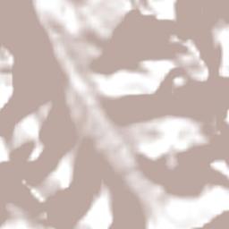 Provincia de Concepción Terrain Map