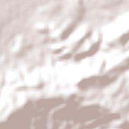 Riachão das Neves Terrain Map