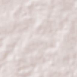 Riachão do Jacuípe Terrain Map