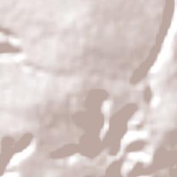 Tapiramutá Terrain Map