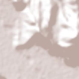 Concepción Terrain Map