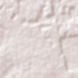 Seringueiras Terrain Map