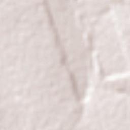 Feliz Natal Terrain Map