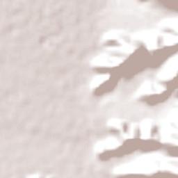 Independencia Terrain Map