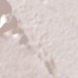 San Jerónimo Terrain Map