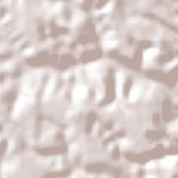 Cardeal da Silva Terrain Map