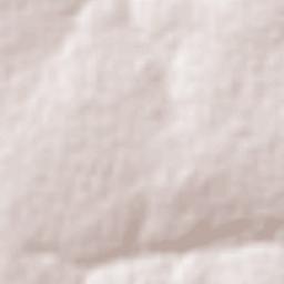 Camacupa Terrain Map