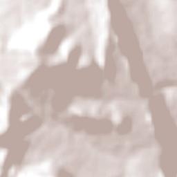 Barra do Mendes Terrain Map