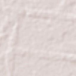 Muquém do São Francisco Terrain Map