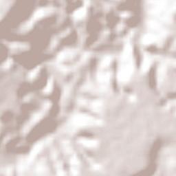 Conceição do Jacuípe Terrain Map