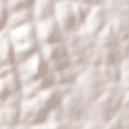 Antônio Cardoso Terrain Map