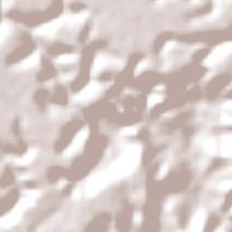 Amélia Rodrigues Terrain Map