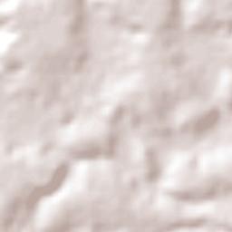 São Gonçalo dos Campos Terrain Map