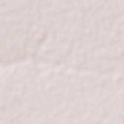 Baianópolis Terrain Map