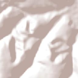 Palmeiras Terrain Map