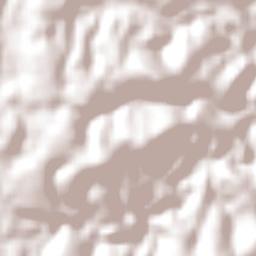 Ibiquera Terrain Map