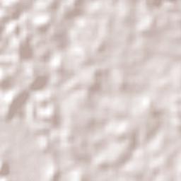 Camaçari Terrain Map