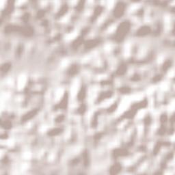 Simões Filho Terrain Map