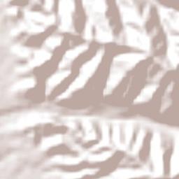 Salvación Terrain Map