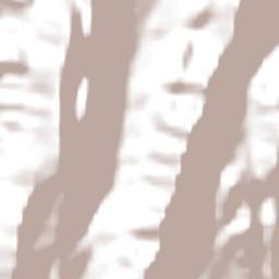 Jaú do Tocantins Terrain Map