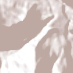 Santa Ana Terrain Map