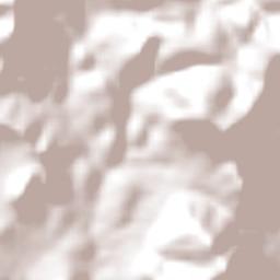 Boa Vista do Tupim Terrain Map