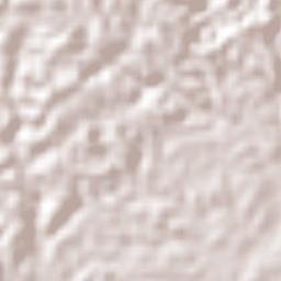 Lauro de Freitas Terrain Map