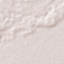 Provincia Iturralde Terrain Map