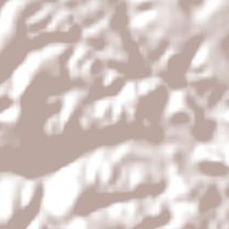 Amargosa Terrain Map