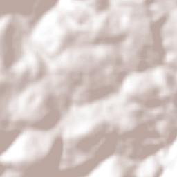 Brejões Terrain Map