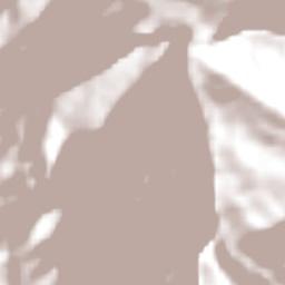 Paucartambo Terrain Map