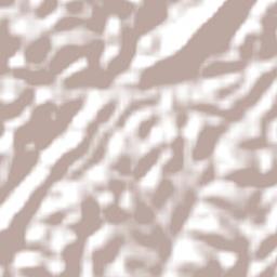 Teolândia Terrain Map