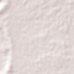 San Clemente Terrain Map